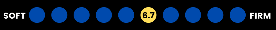 firmness scale